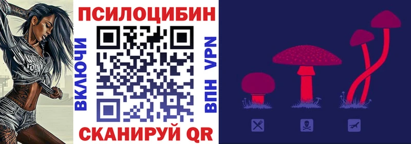 купить наркотики сайты  кракен вход  Псилоцибиновые грибы прущие грибы  Чердынь 