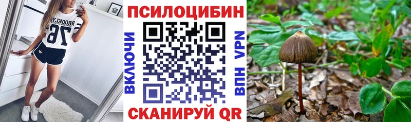 Псилоцибиновые грибы мухоморы Чердынь